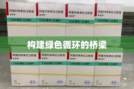 安庆构建绿色循环的桥梁