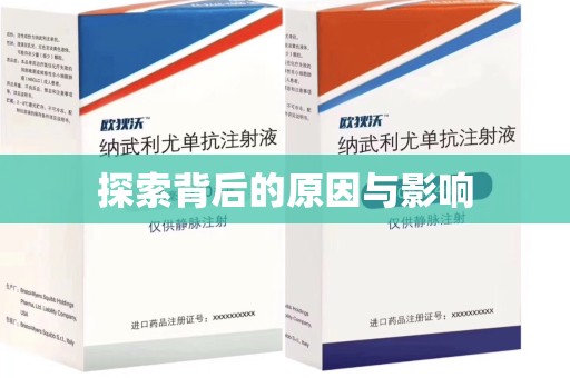 安庆探索背后的原因与影响