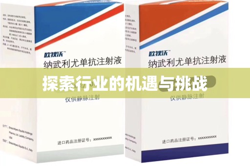 安庆探索行业的机遇与挑战