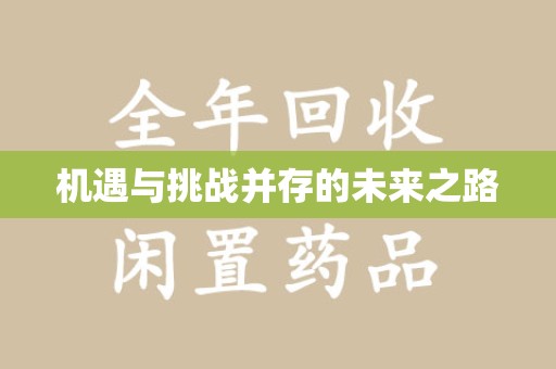 安庆机遇与挑战并存的未来之路