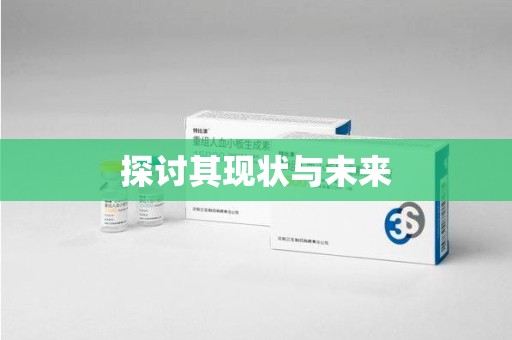安庆探讨其现状与未来